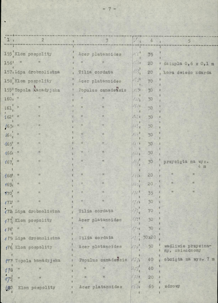 Ewidencja parkowa, skan nr 20
