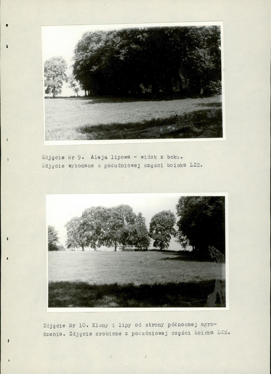 Ewidencja parkowa, skan nr 28