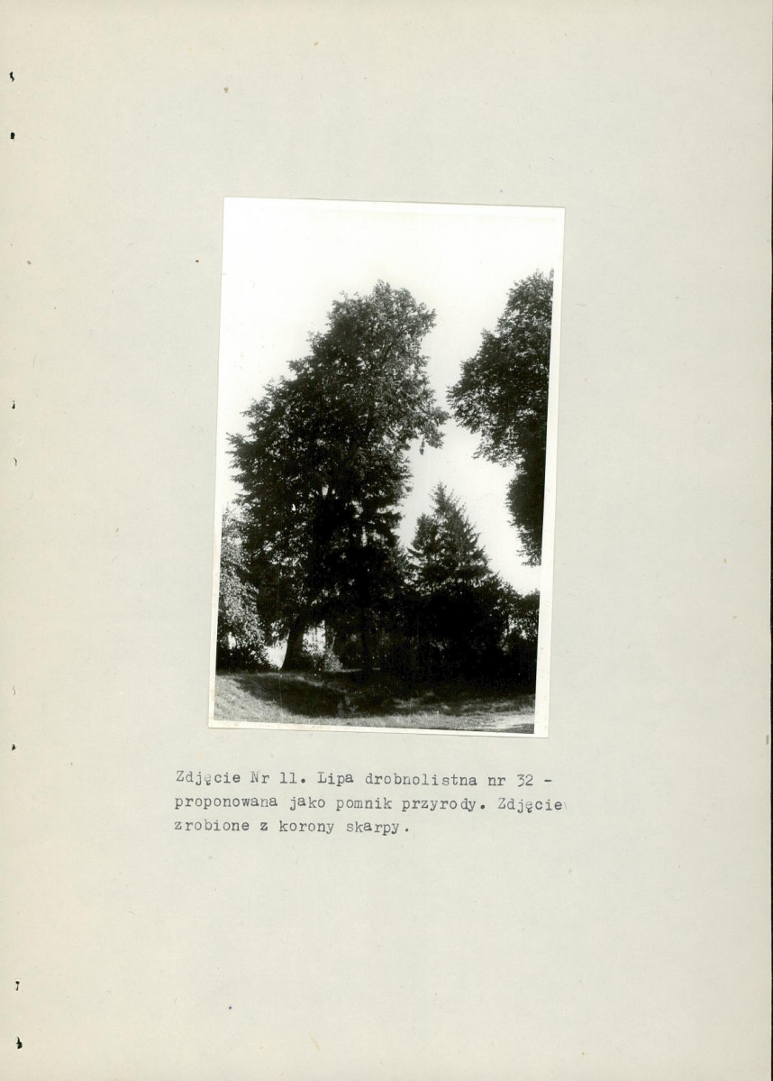 Ewidencja parkowa, skan nr 29