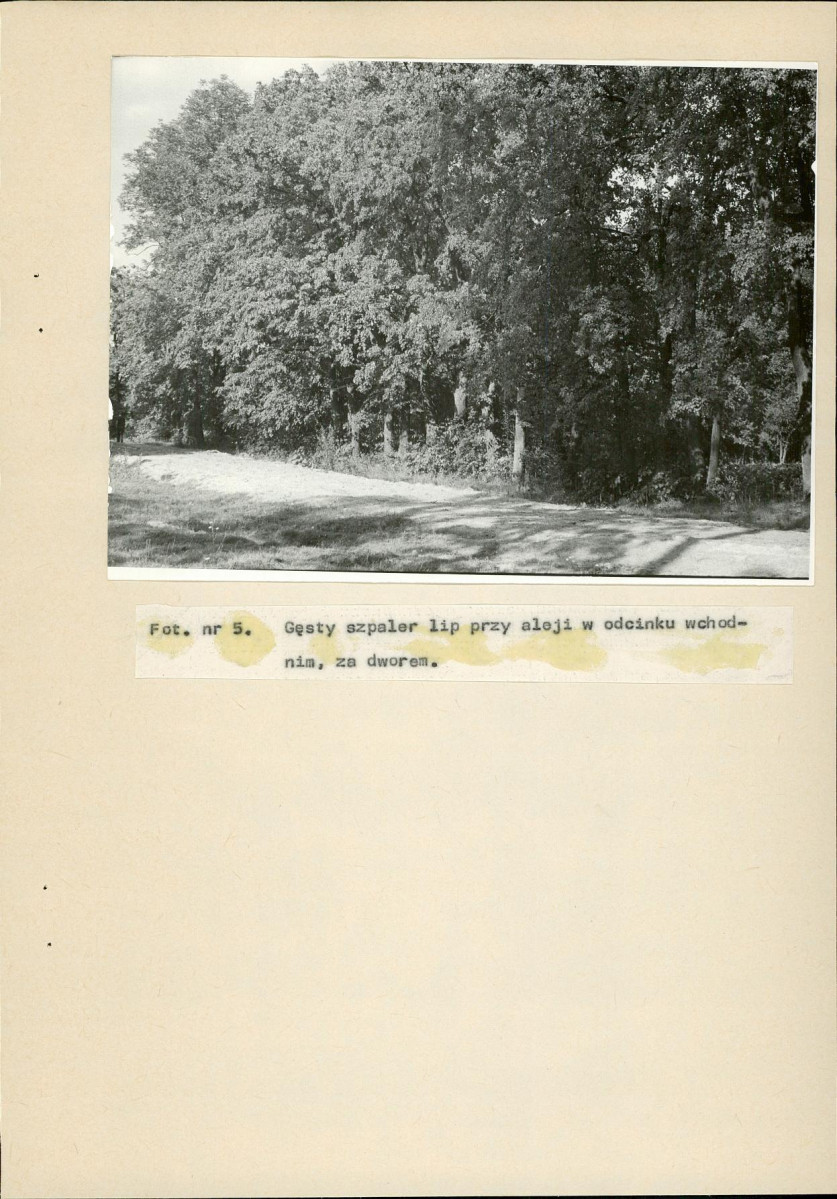 Ewidencja parkowa, skan nr 41