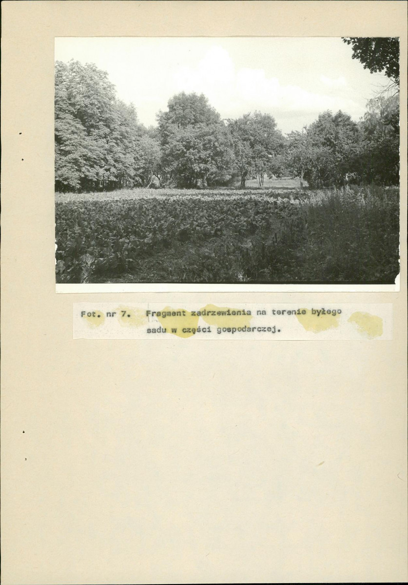 Ewidencja parkowa, skan nr 43