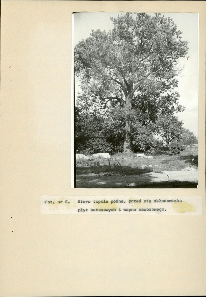 Ewidencja parkowa, skan nr 44