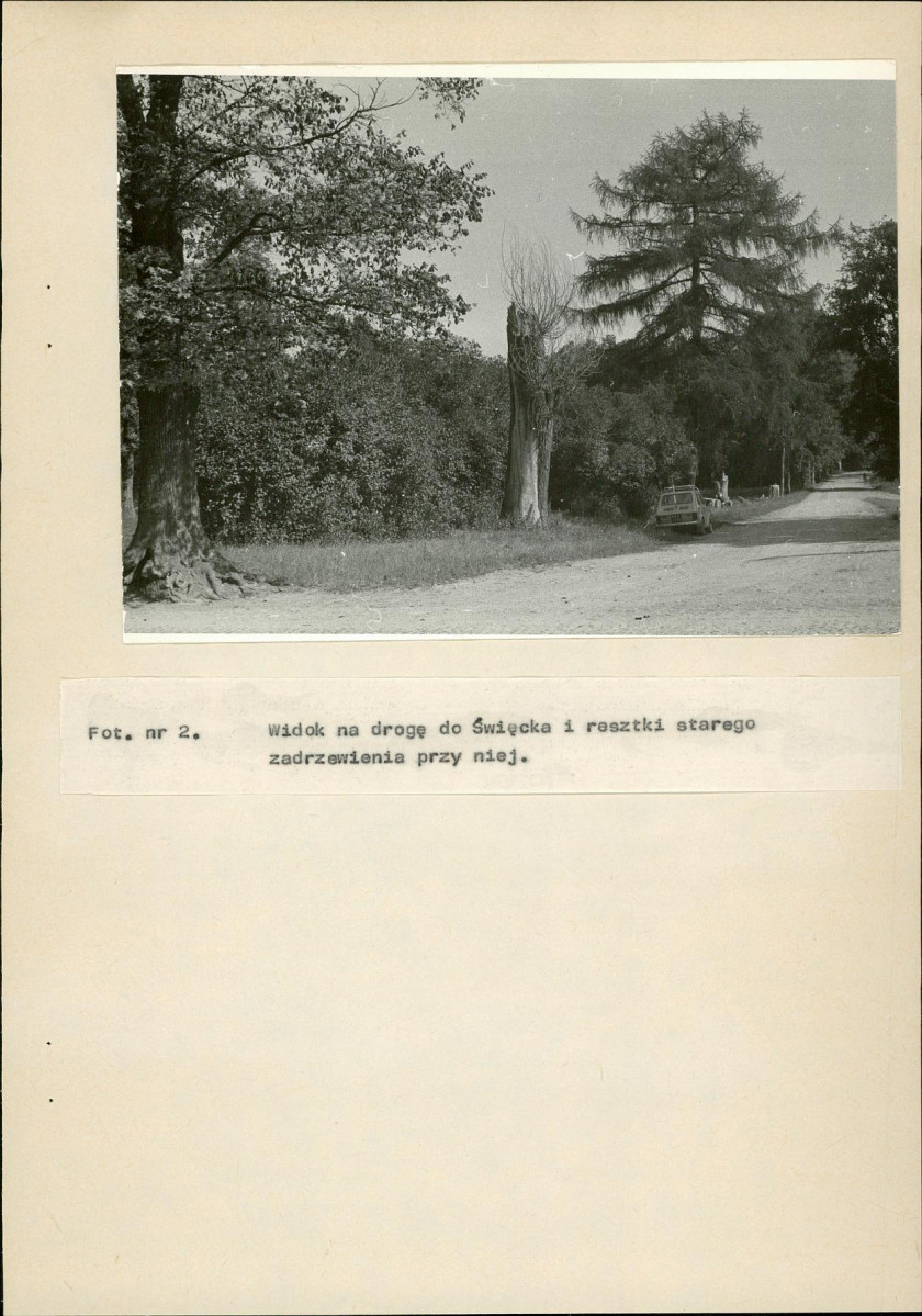 EP - Ewidencja parkowa, skan nr 28