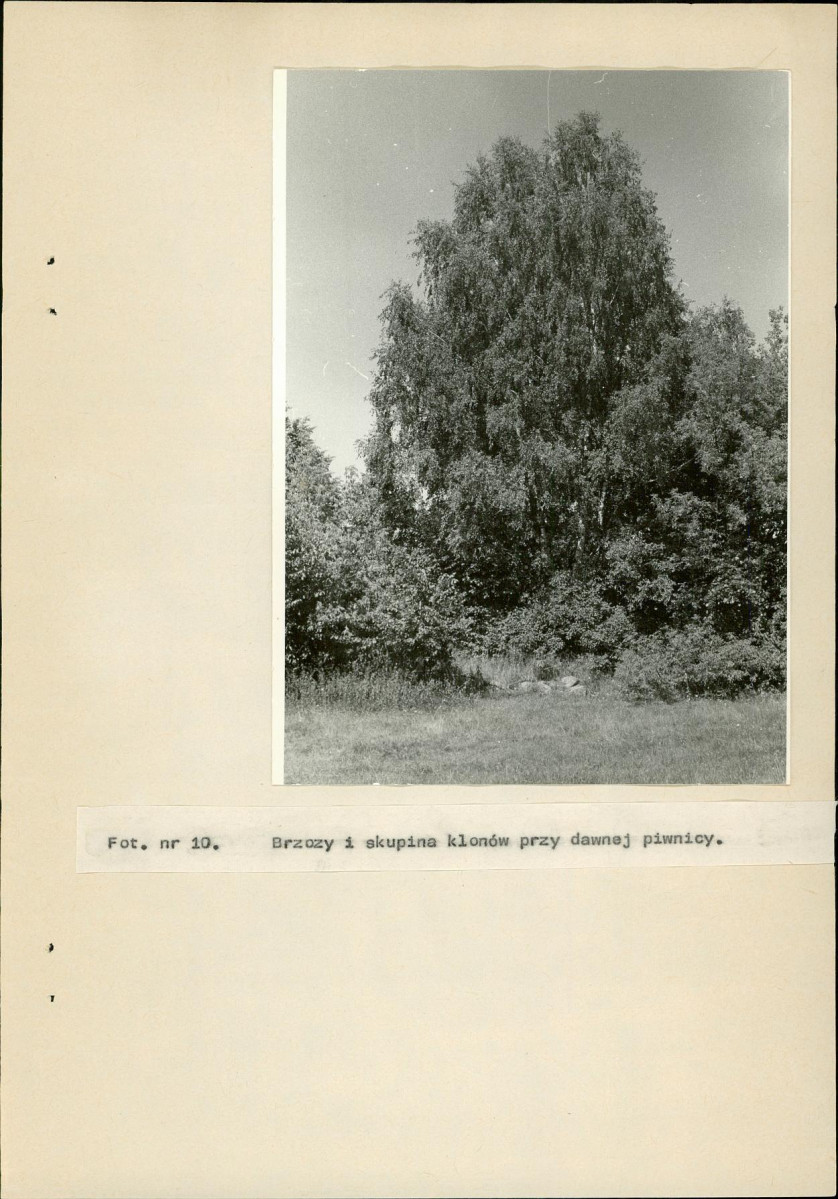 EP - Ewidencja parkowa, skan nr 35