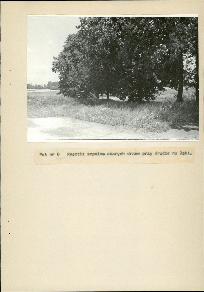 Ewidencja parkowa, skan nr 39