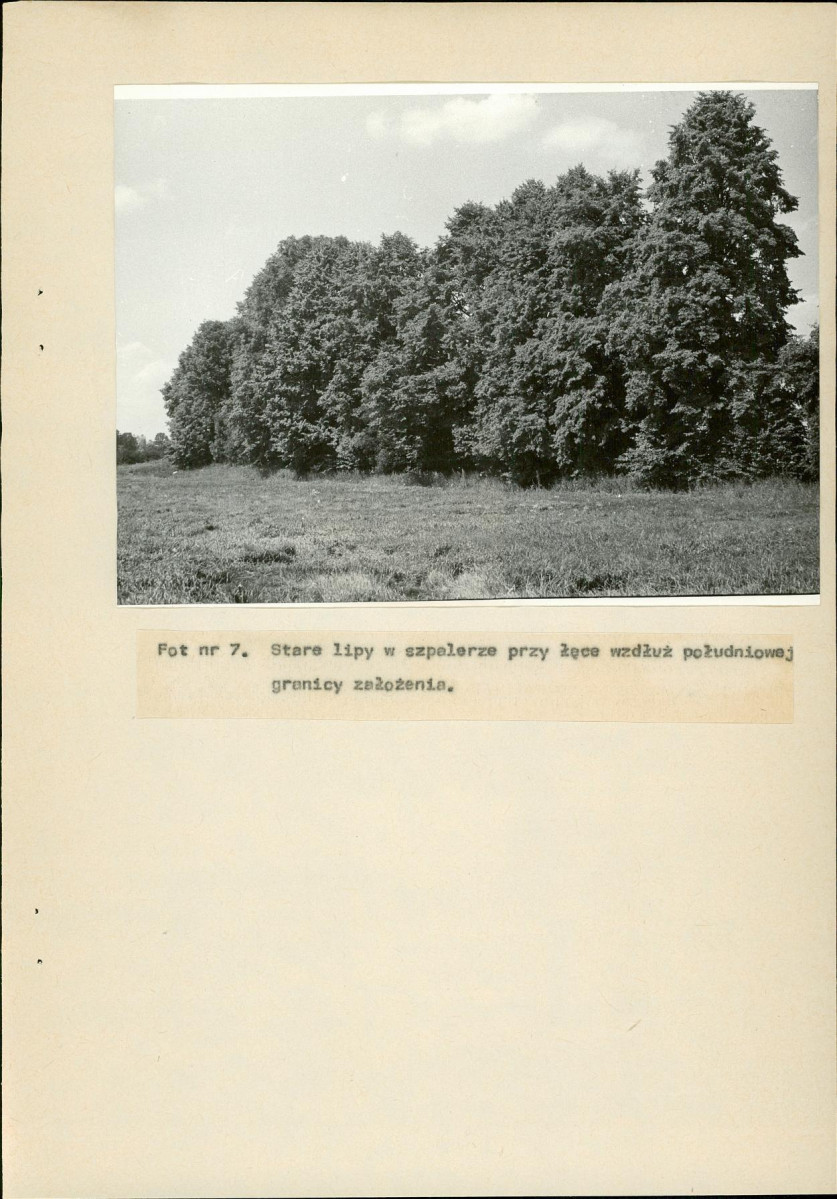 Ewidencja parkowa, skan nr 40