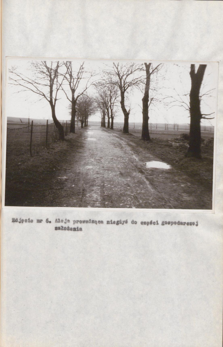 EP - Ewidencja parkowa, skan nr 22