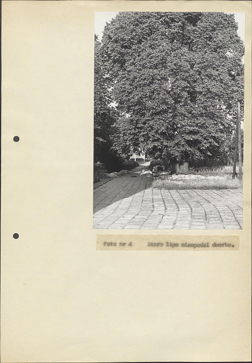 Ewidencja parkowa, skan nr 42