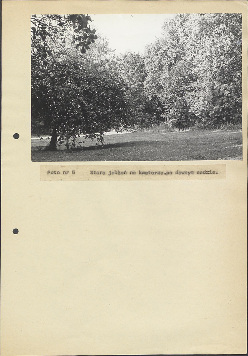 Ewidencja parkowa, skan nr 43