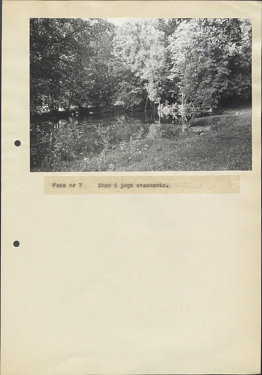 Ewidencja parkowa, skan nr 45