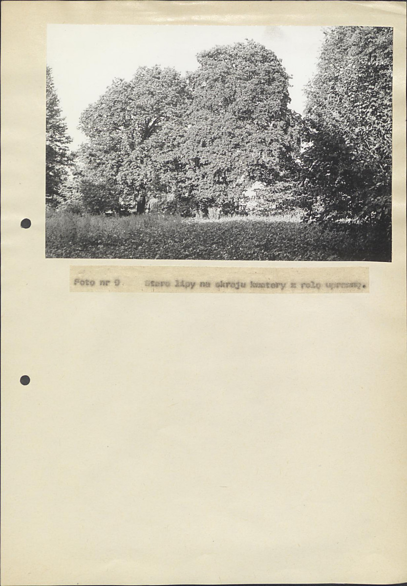 Ewidencja parkowa, skan nr 47