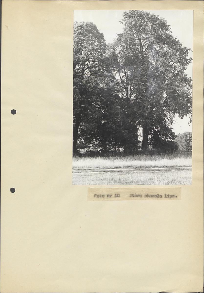 Ewidencja parkowa, skan nr 48