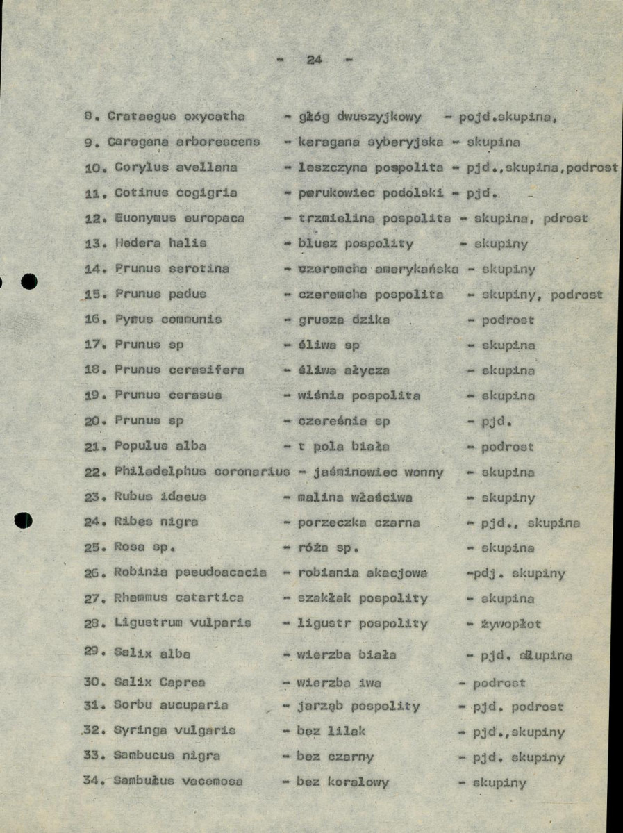 EP - Ewidencja parkowa, skan nr 29