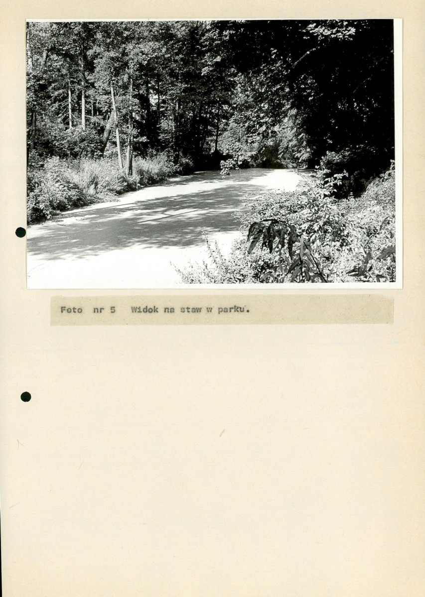 EP - Ewidencja parkowa, skan nr 40