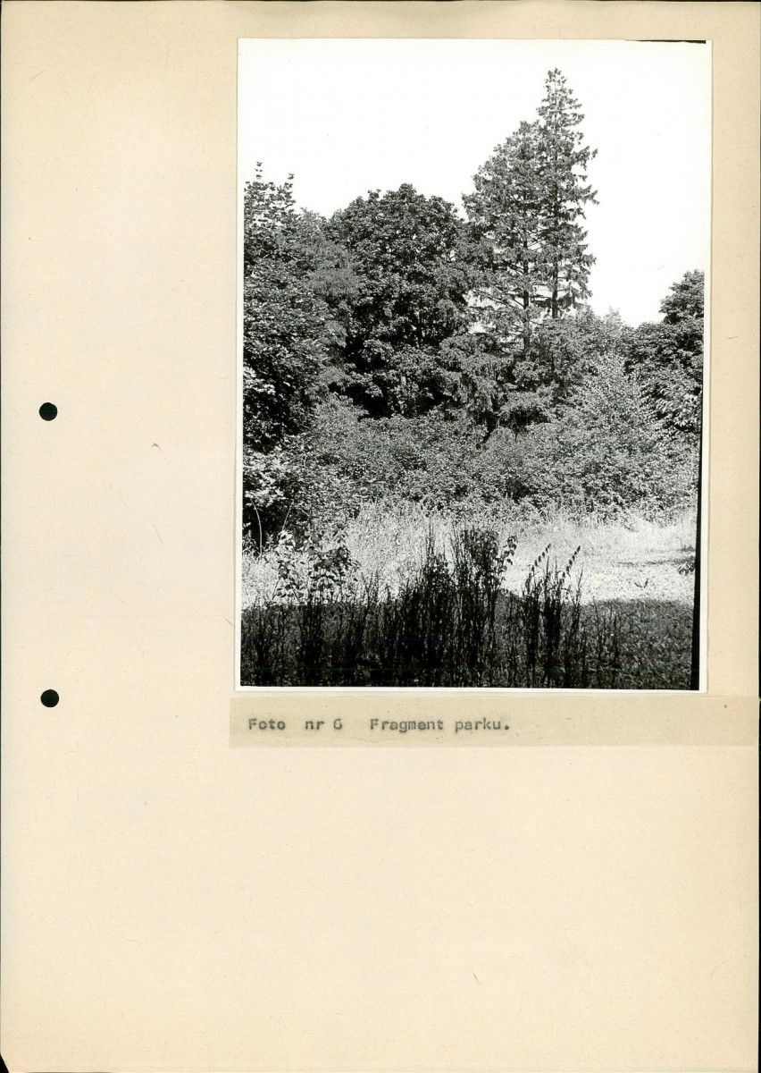 EP - Ewidencja parkowa, skan nr 41