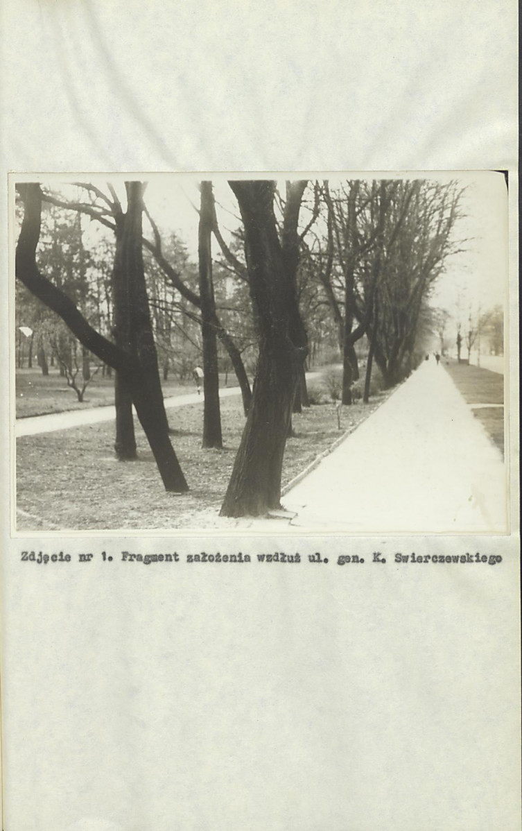 Ewidencja parkowa, skan nr 16