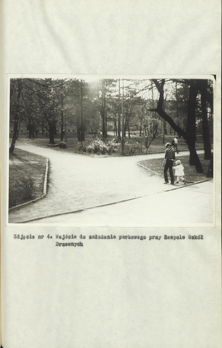 Ewidencja parkowa, skan nr 19