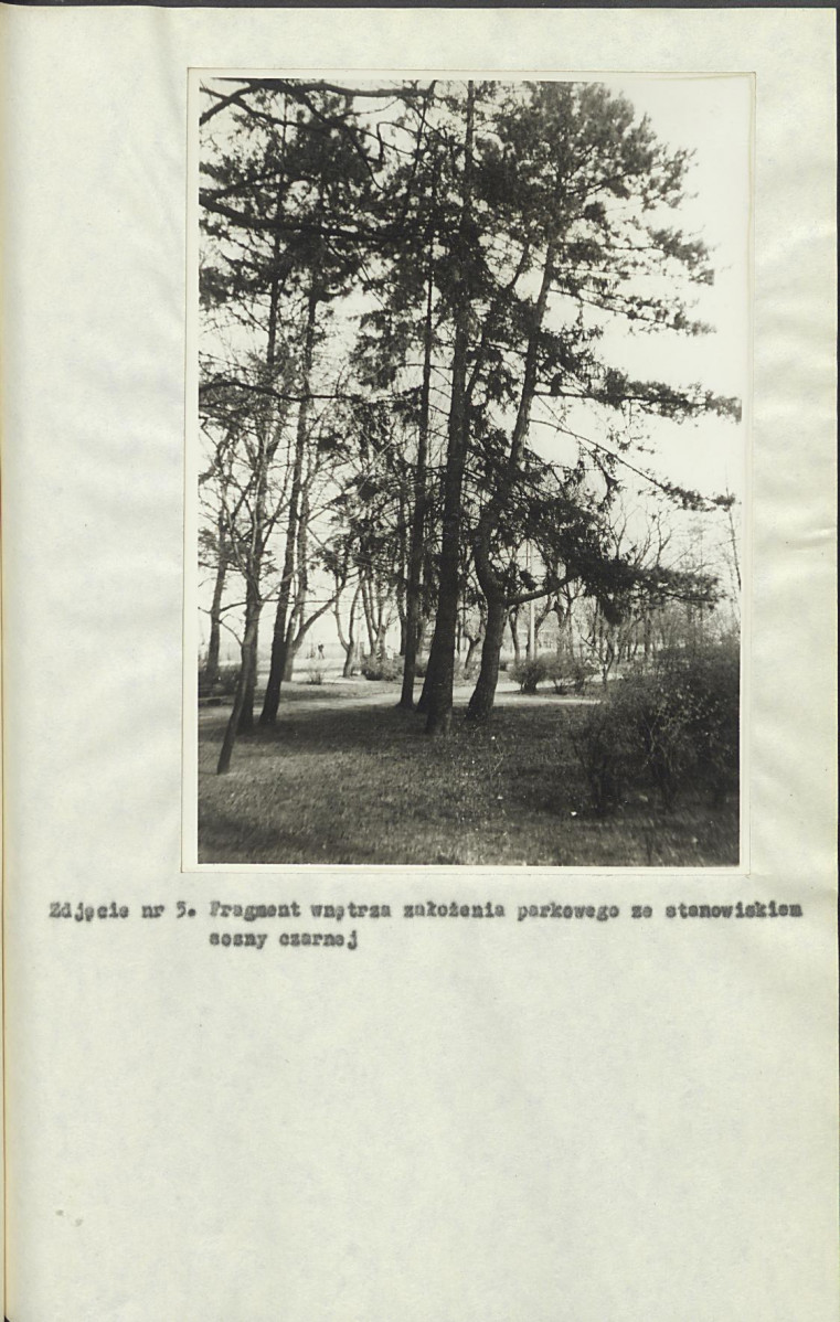 Ewidencja parkowa, skan nr 20