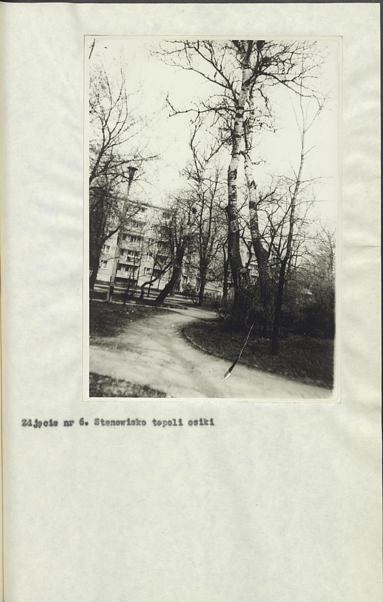 Ewidencja parkowa, skan nr 21