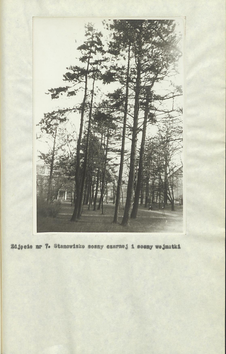 Ewidencja parkowa, skan nr 22