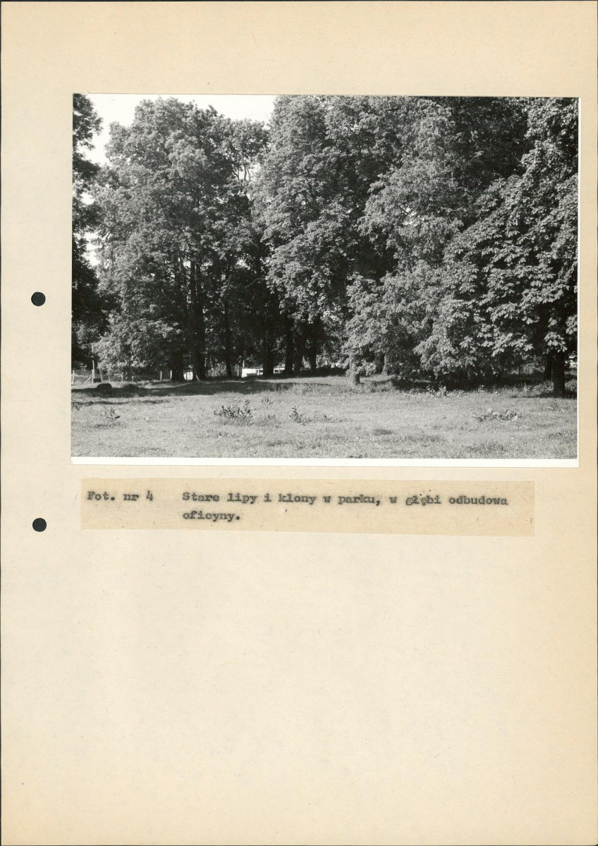 EP - Ewidencja parkowa, skan nr 39