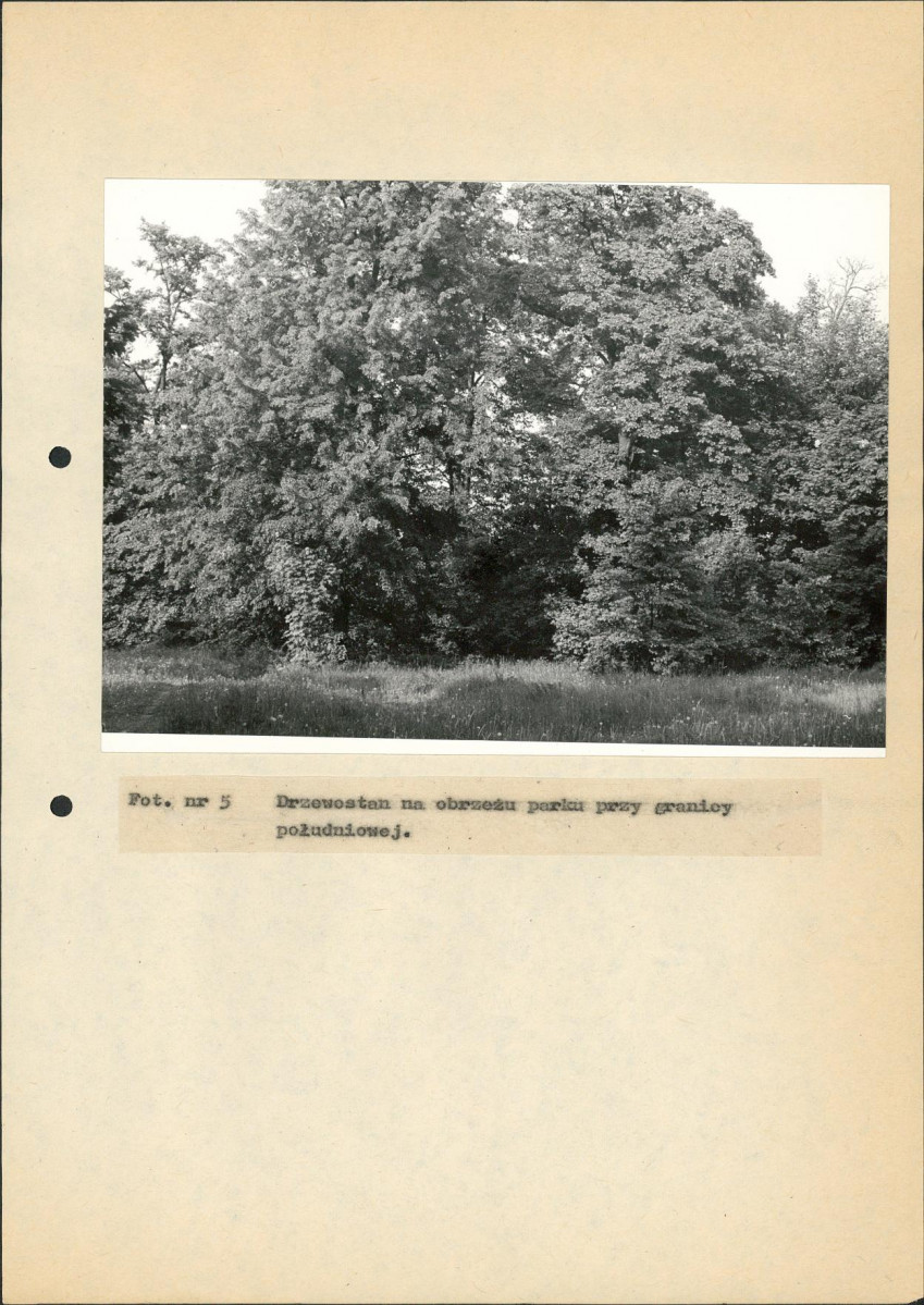 EP - Ewidencja parkowa, skan nr 40