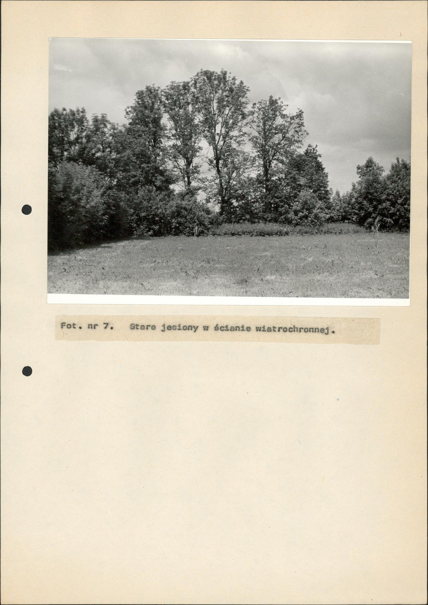 EP - Ewidencja parkowa, skan nr 36