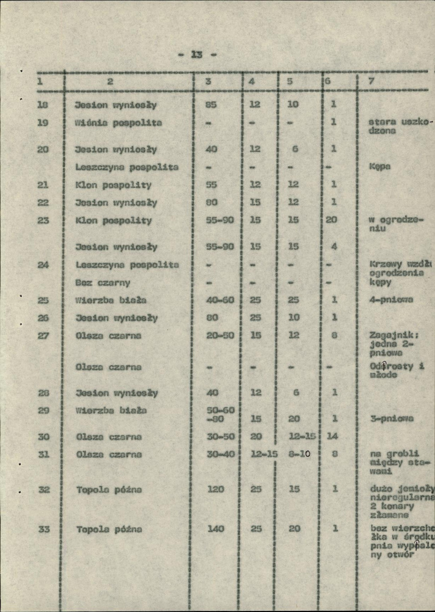 Ewidencja parkowa, skan nr 21