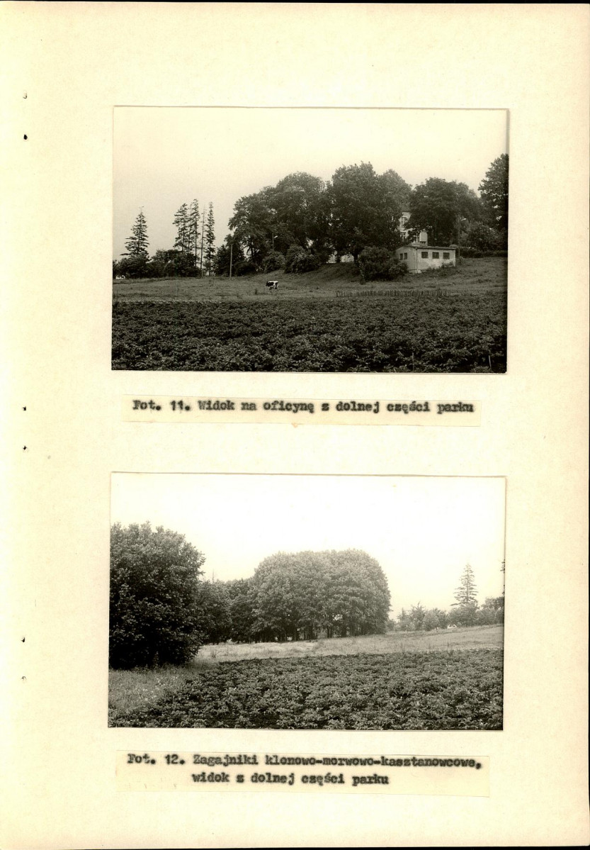 Ewidencja parkowa, skan nr 36