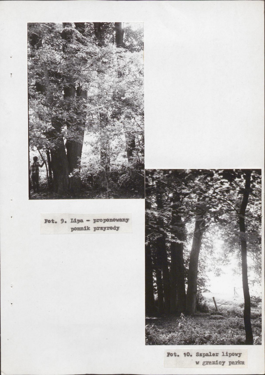 EP - Ewidencja parkowa, skan nr 36