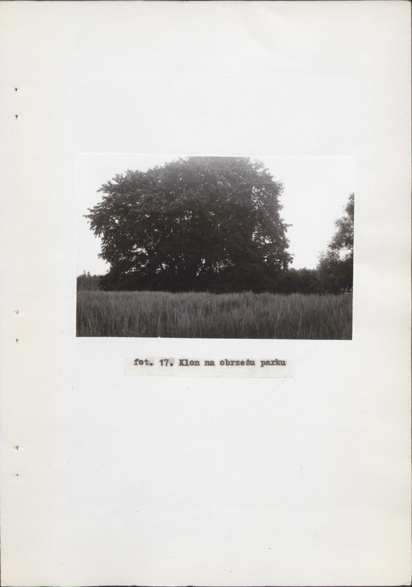 EP - Ewidencja parkowa, skan nr 40