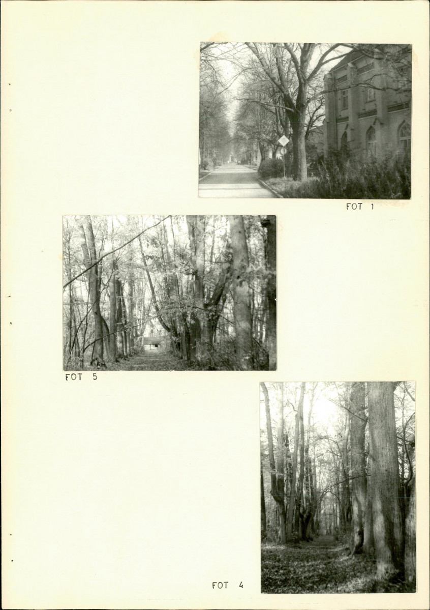 Ewidencja parkowa, skan nr 34