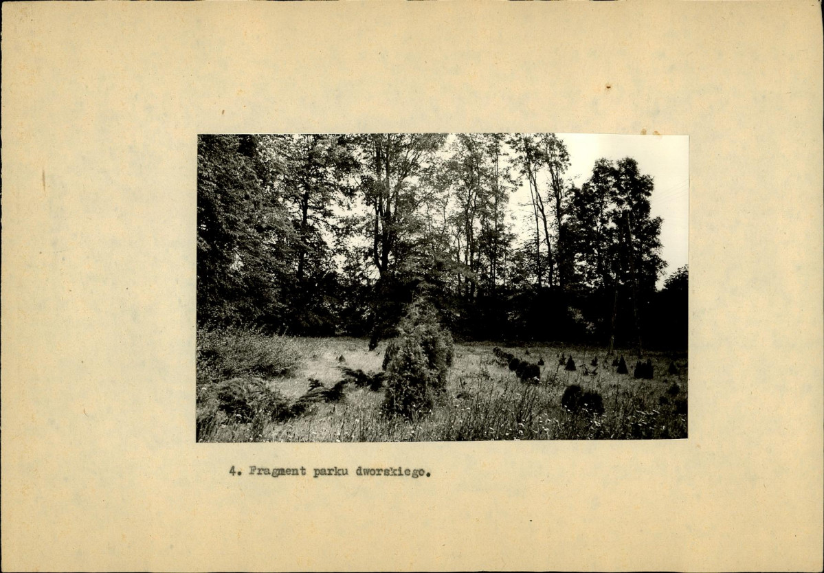 Ewidencja parkowa, skan nr 37