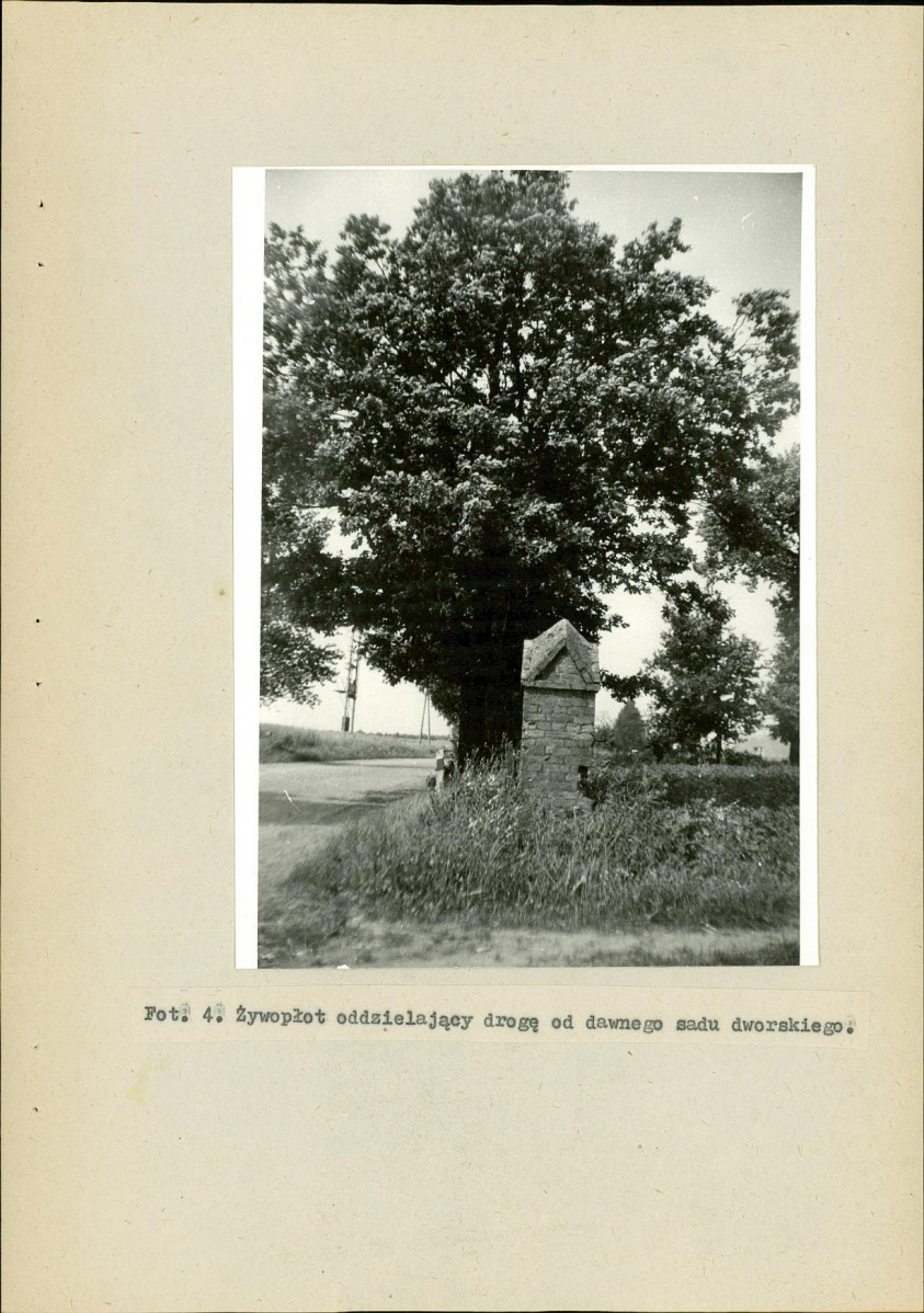 EP - Ewidencja parkowa, skan nr 26