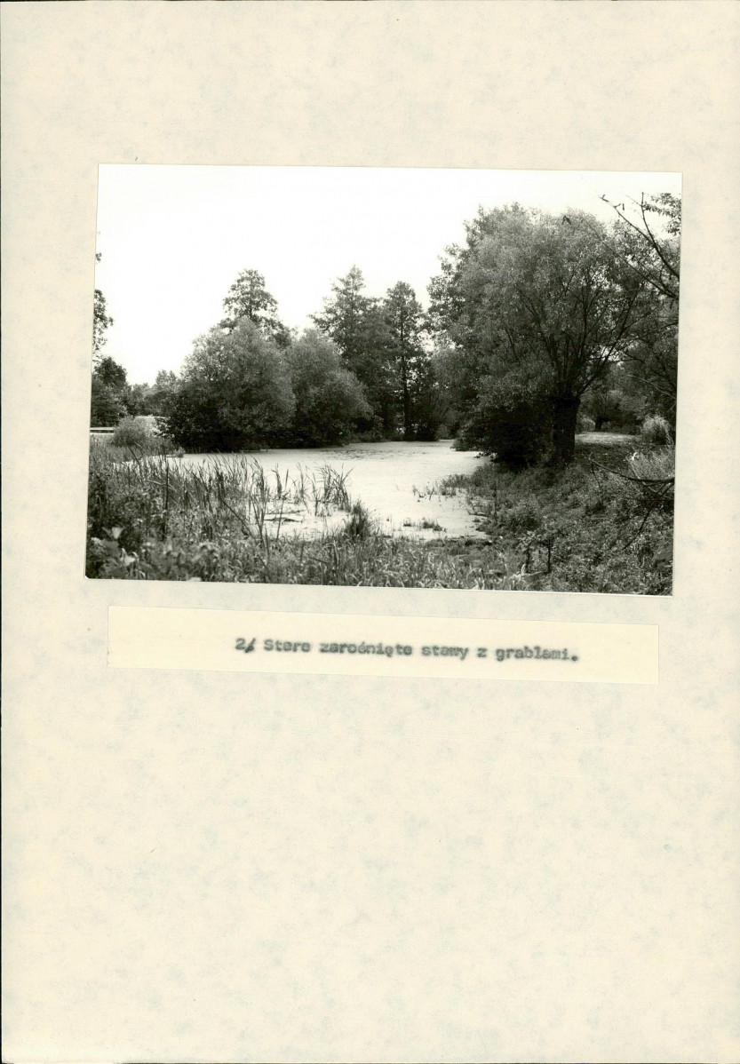 EP - Ewidencja parkowa, skan nr 25