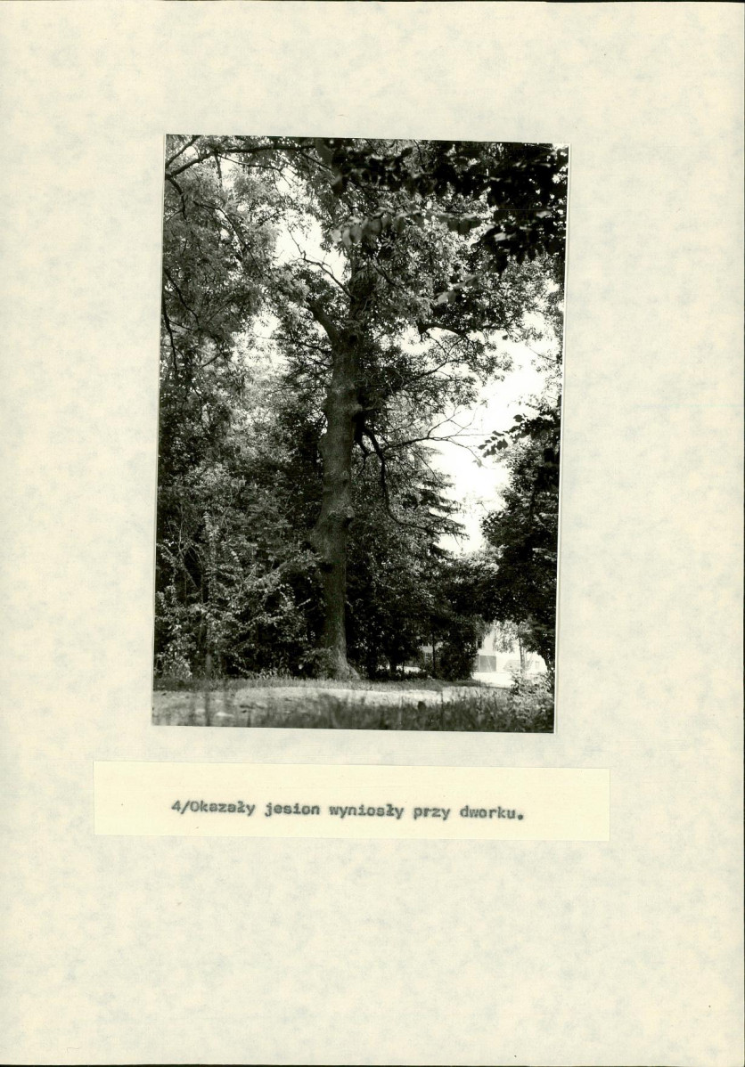 EP - Ewidencja parkowa, skan nr 27