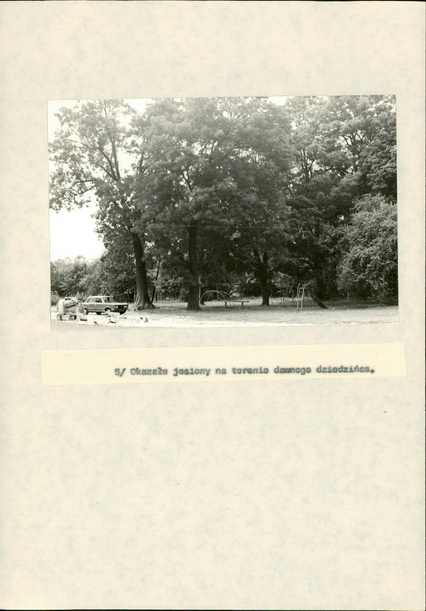 EP - Ewidencja parkowa, skan nr 28