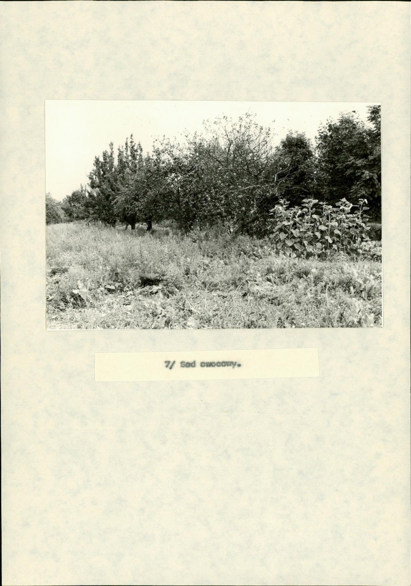 EP - Ewidencja parkowa, skan nr 30