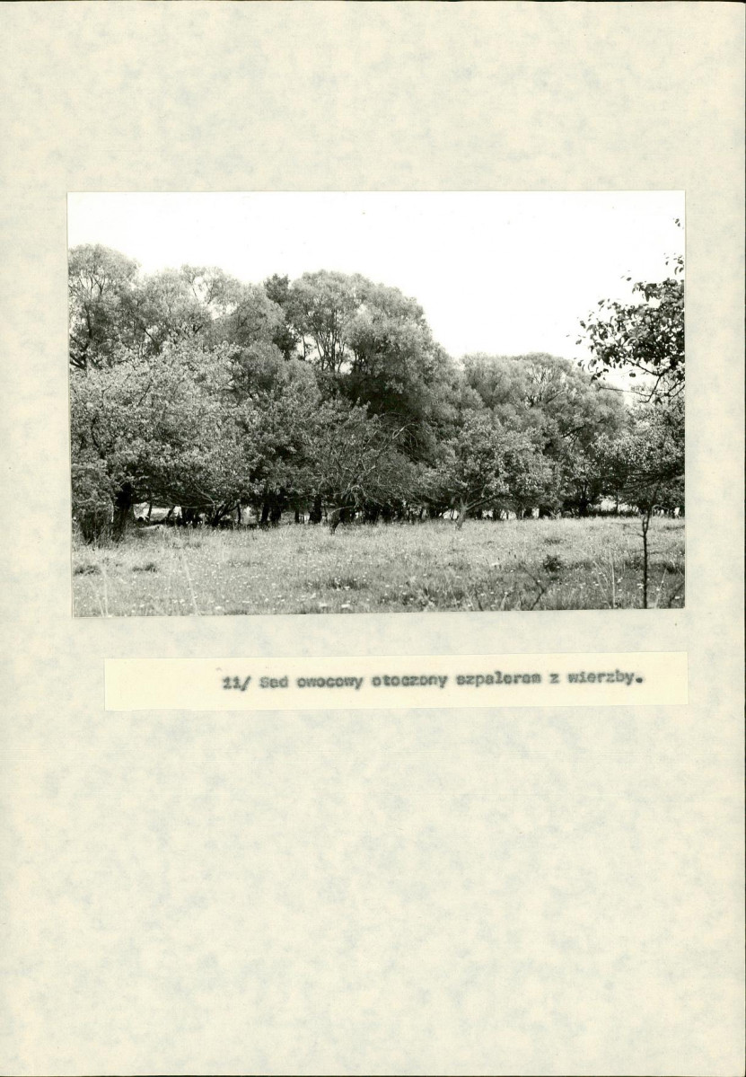 EP - Ewidencja parkowa, skan nr 34