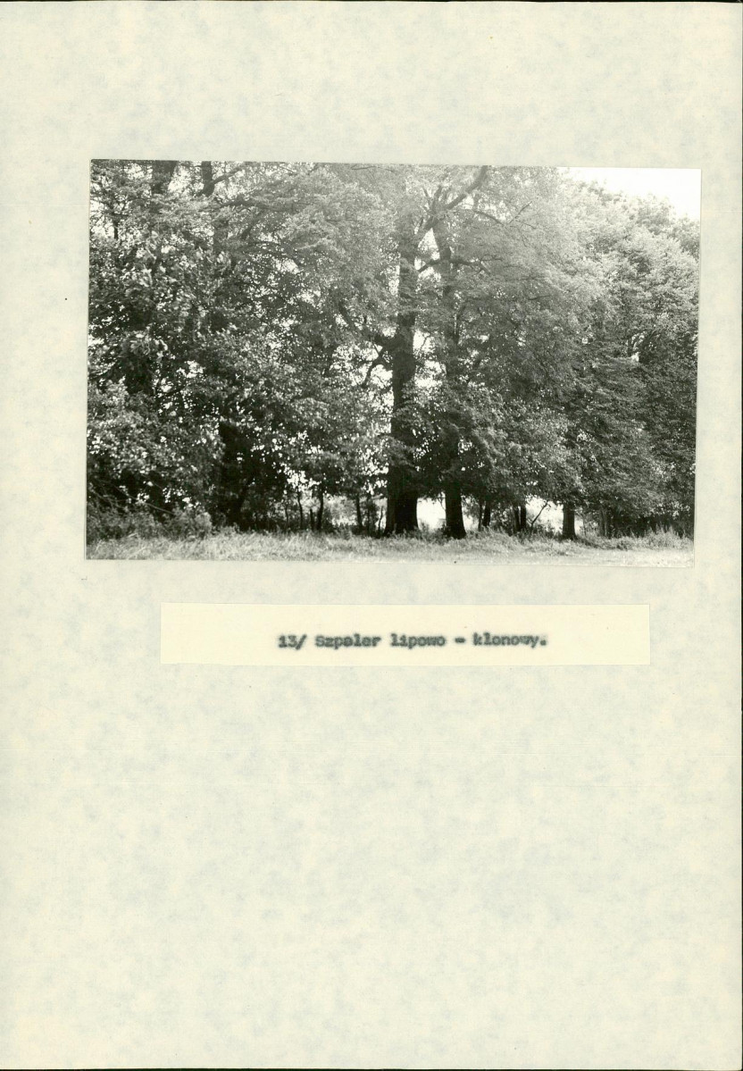 EP - Ewidencja parkowa, skan nr 36