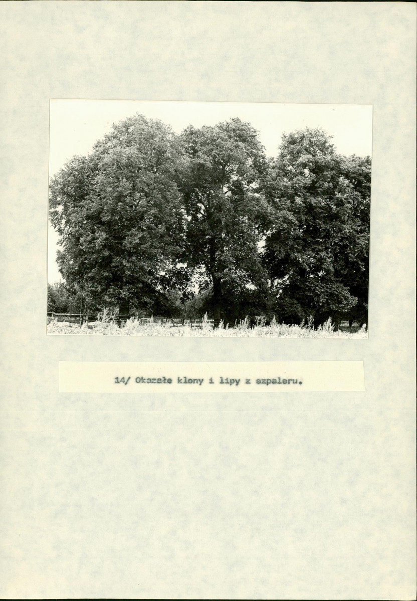 EP - Ewidencja parkowa, skan nr 37