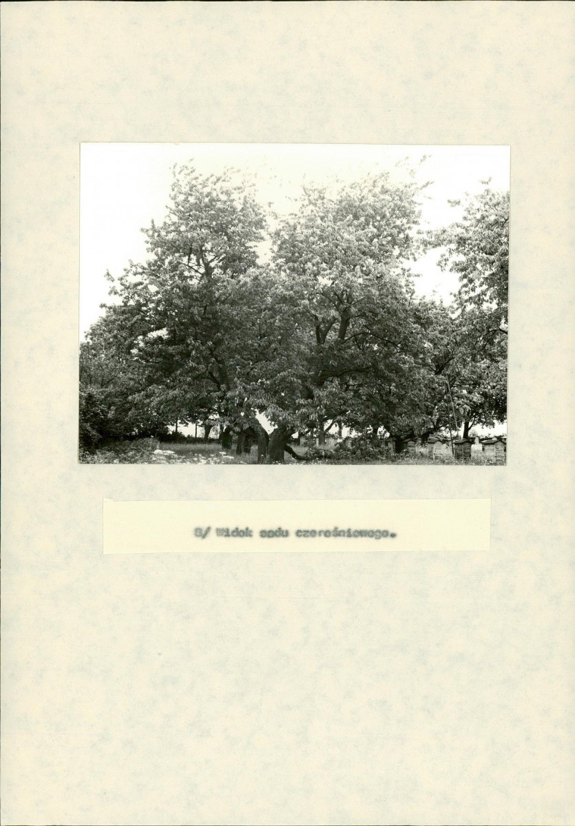 EP - Ewidencja parkowa, skan nr 38