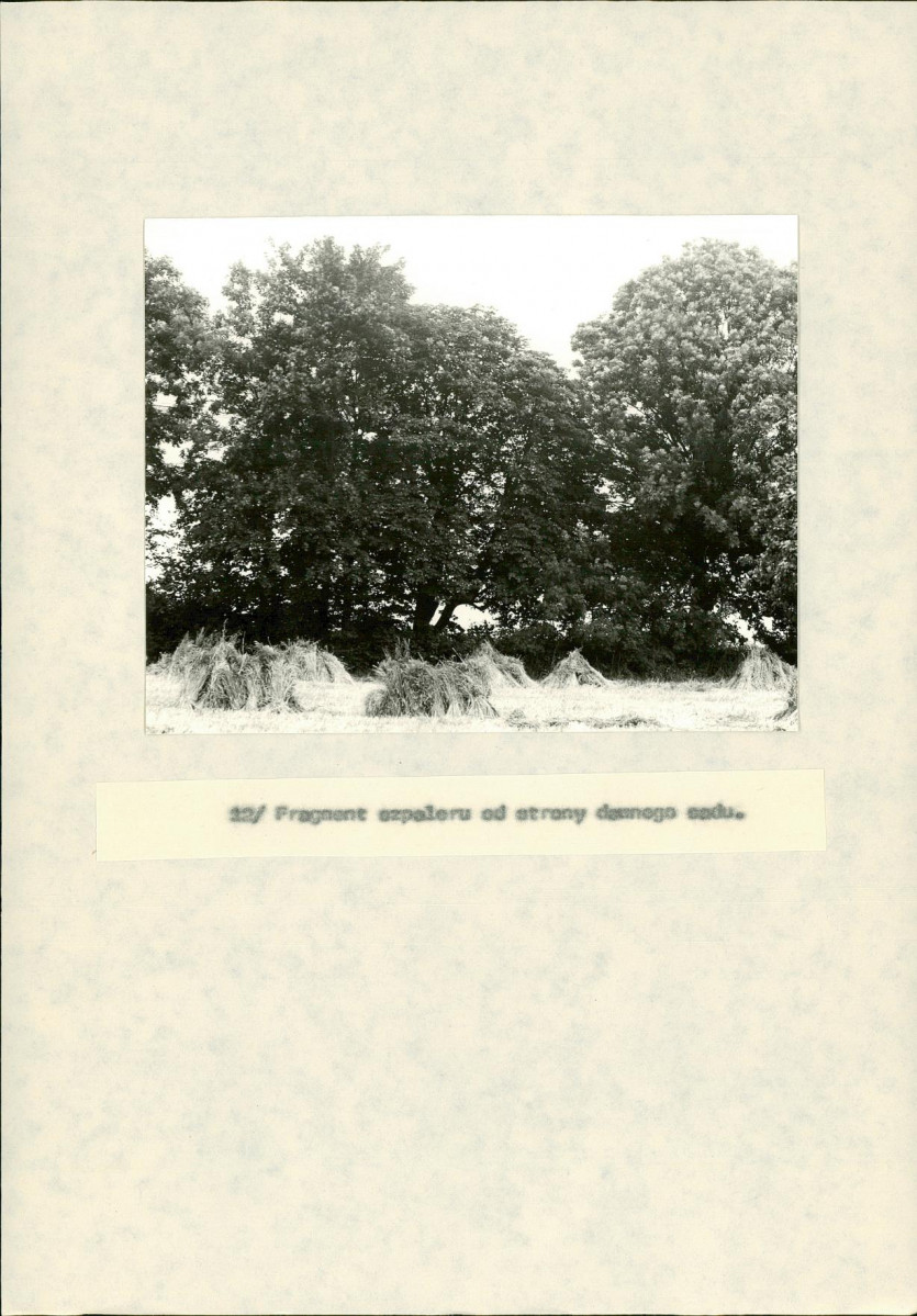 EP - Ewidencja parkowa, skan nr 42