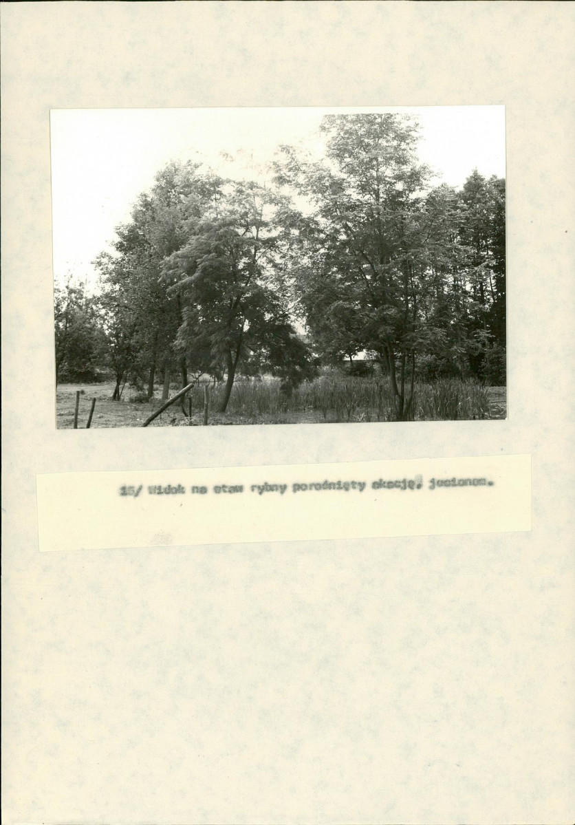 EP - Ewidencja parkowa, skan nr 45