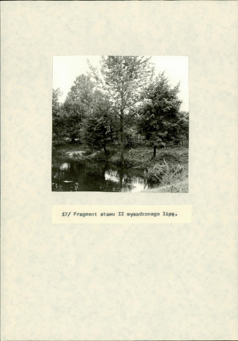 EP - Ewidencja parkowa, skan nr 47