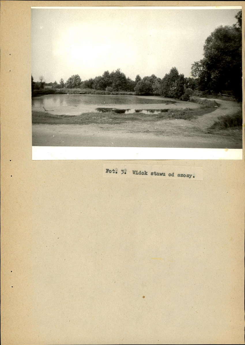 EP - Ewidencja parkowa, skan nr 29