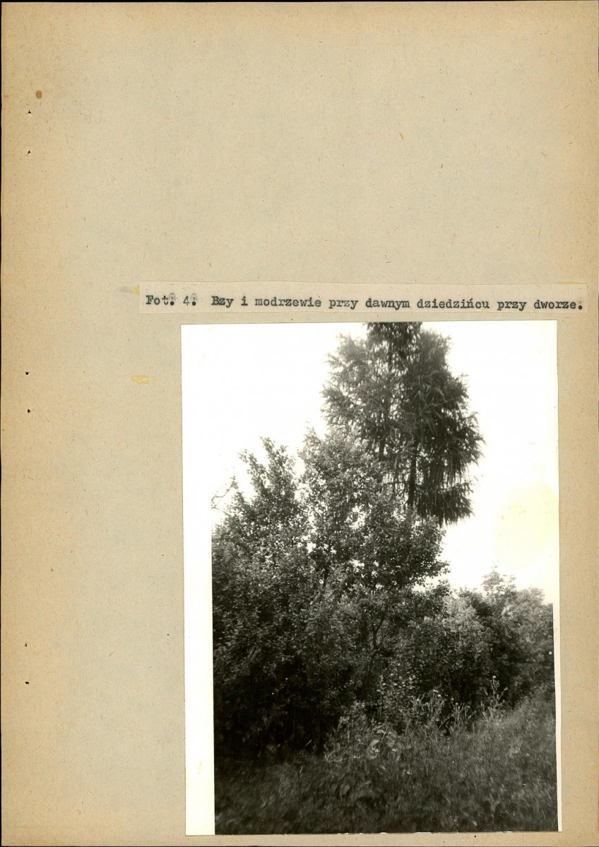 EP - Ewidencja parkowa, skan nr 30