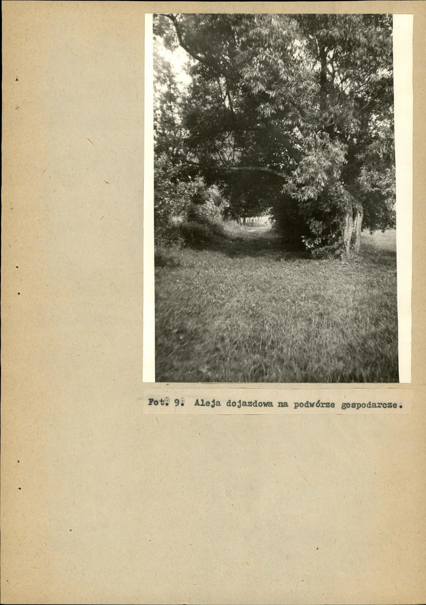 EP - Ewidencja parkowa, skan nr 35