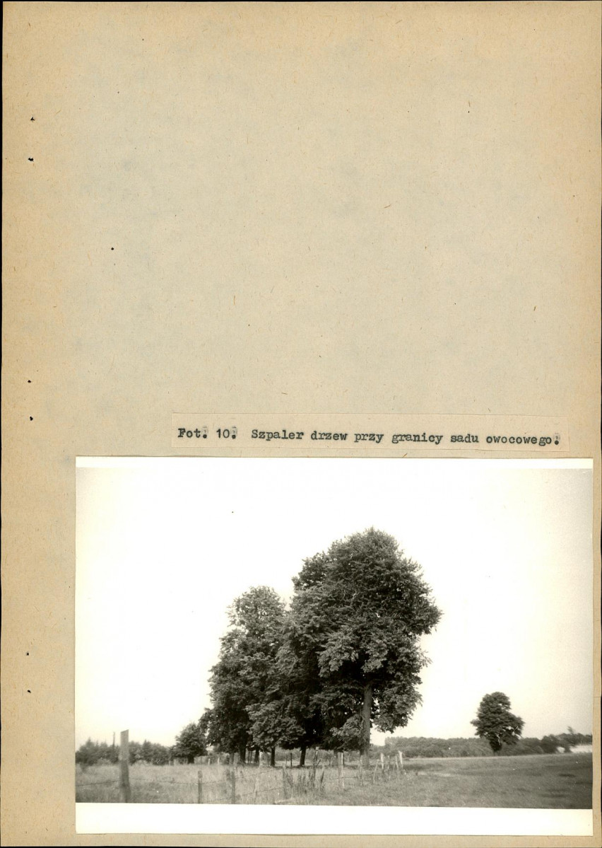 EP - Ewidencja parkowa, skan nr 36