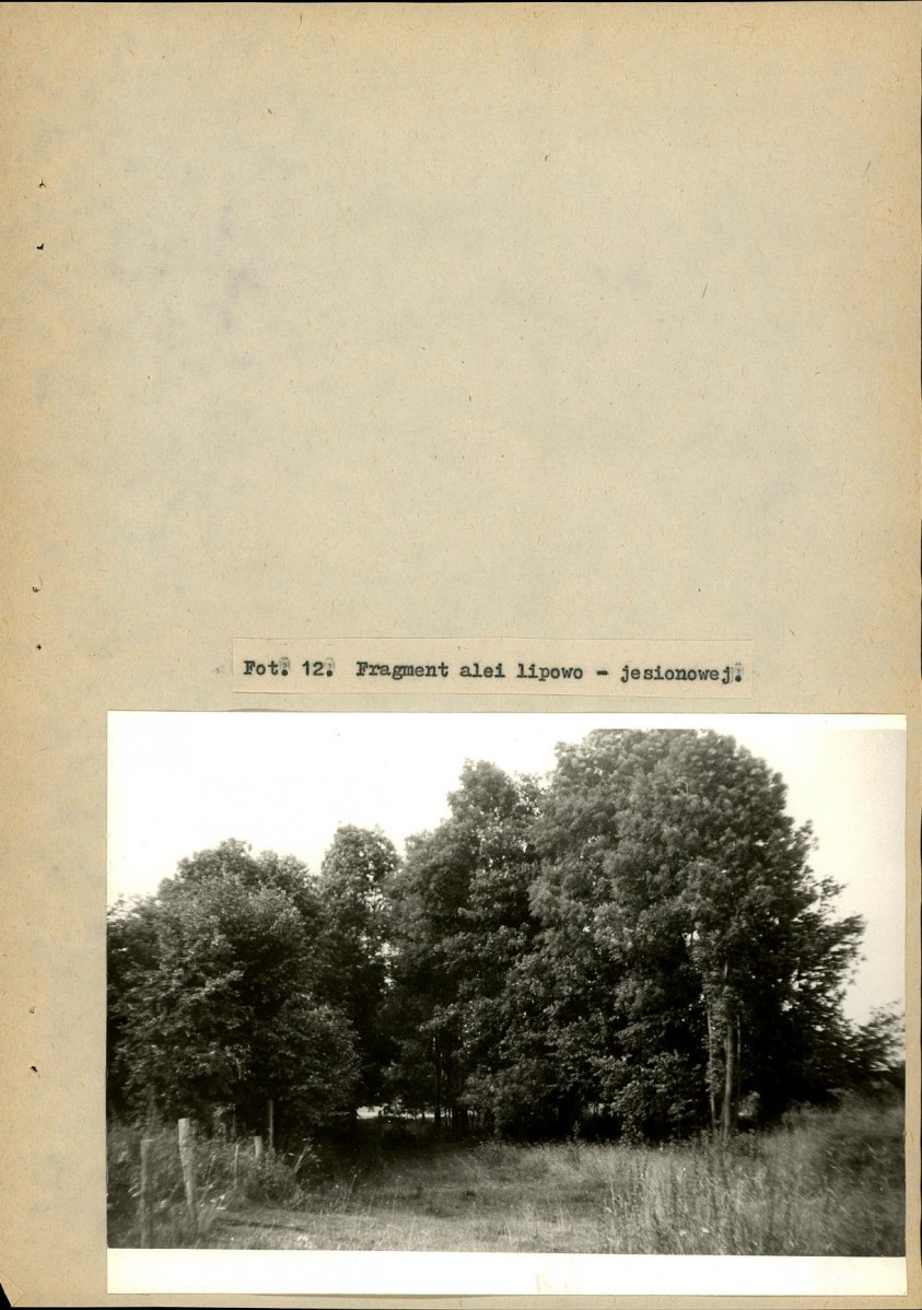 EP - Ewidencja parkowa, skan nr 38